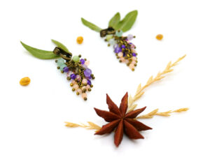 Boucles d’oreilles uniques : « Glycine Parfumée »